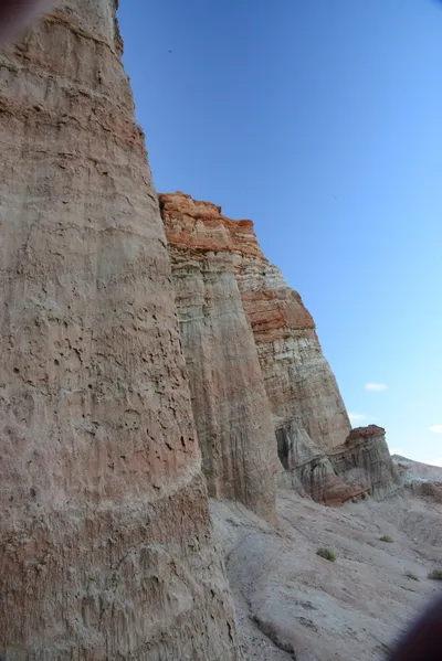 DSC_0278 (Large).JPG